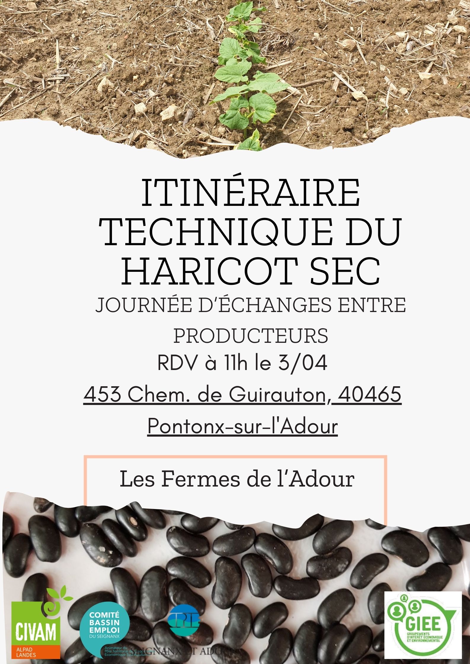 échanges haricot