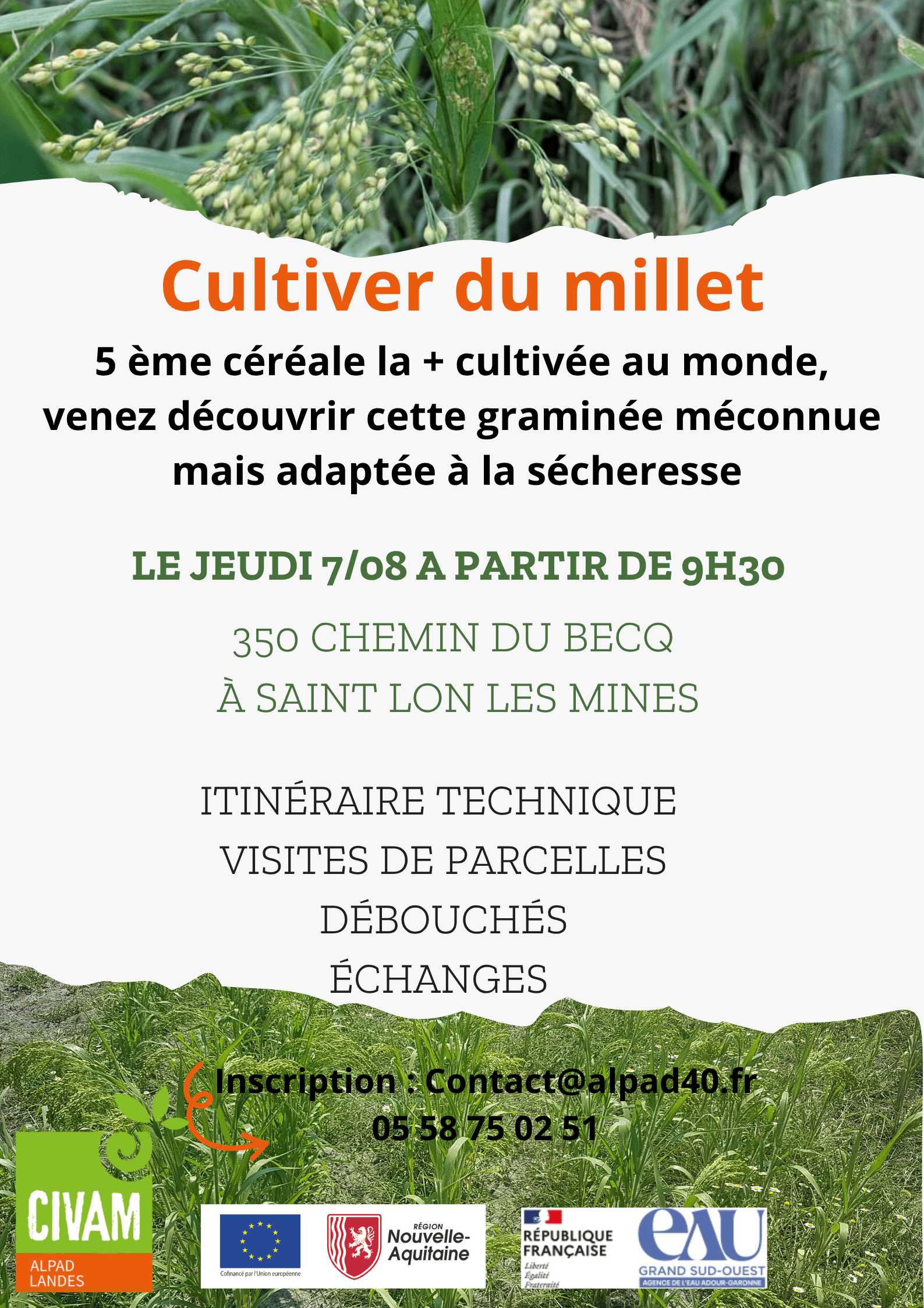 journée millet min