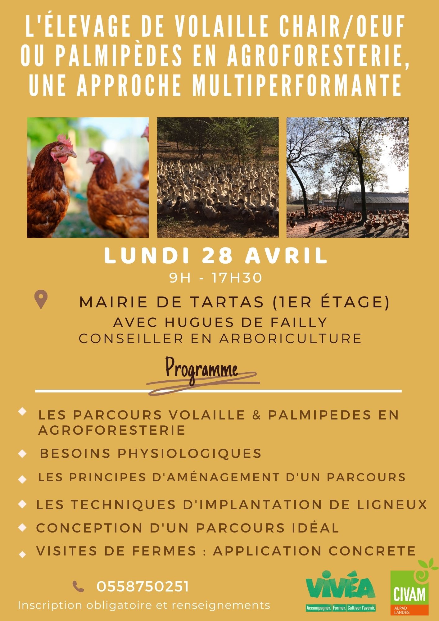 elevage de volaille et palmipède en agroforesterie 2